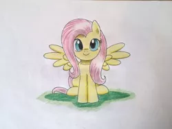 Size: 768x576 | Tagged: safe, artist:mrbojorquez7, derpibooru import, fluttershy, pegasus, pony, cute, female, full face view, looking at you, mare, shyabetes, sitting, smiling, solo, spread wings, traditional art, wings