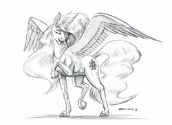 Size: 1400x1020 | Tagged: safe, artist:baron engel, derpibooru import, princess celestia, alicorn, pony, eyes closed, female, grayscale, mare, missing accessory, monochrome, open mouth, pencil drawing, prancing, raised hoof, realistic horse legs, simple background, sketch, smiling, solo, spread wings, traditional art, white background, wings