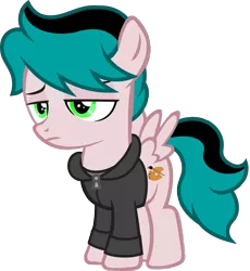 Size: 6670x7254 | Tagged: safe, artist:fletcherthehuntress, derpibooru import, oc, oc:dash palette, pegasus, pony, absurd resolution, clothes, colt, hoodie, male, simple background, solo, transparent background