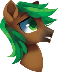 Size: 3358x4168 | Tagged: safe, artist:sorasku, derpibooru import, oc, oc:jaeger, oc:jaeger sylva, pony, bust, male, portrait, simple background, solo, stallion, transparent background