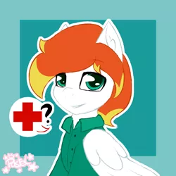 Size: 1000x1000 | Tagged: safe, artist:pastel-pony-princess, derpibooru import, oc, oc:dookin foof lord, unofficial characters only, pegasus, pony, clothes, cute, doctor, medic, pictogram, simple background, solo