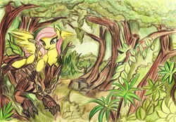 Size: 2000x1393 | Tagged: safe, artist:pedrohander, derpibooru import, fluttershy, pegasus, pony, timber wolf, forest, riding, solo, traditional art