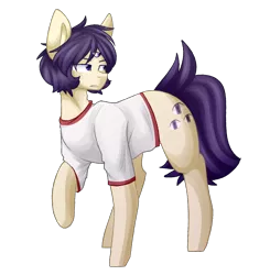 Size: 1410x1440 | Tagged: safe, artist:despotshy, derpibooru import, oc, oc:nell, earth pony, pony, clothes, male, shirt, simple background, solo, stallion, third eye, transparent background