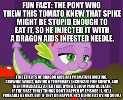 Size: 883x720 | Tagged: abuse, caption, derpibooru import, downvote bait, dragon, edit, edited screencap, food, go to sleep garble, horse play, image macro, male, meme, molt down, op is trying too hard, screencap, semi-grimdark, solo, spike, spikeabuse, tomato