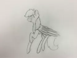 Size: 4032x3024 | Tagged: safe, artist:mlpcreationist, derpibooru import, oc, oc:novajack, unofficial characters only, pegasus, pony, present, solo, traditional art