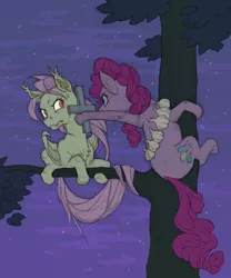 Size: 733x882 | Tagged: safe, artist:gor1ck, derpibooru import, fluttershy, pinkie pie, bat pony, earth pony, pony, vampire, climbing, cross, duo, female, flutterbat, folded wings, garlic, hanging, leaning back, looking at each other, mare, night, race swap, tree, tree branch