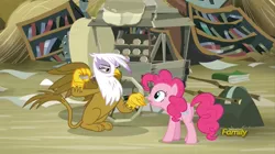 Size: 1916x1072 | Tagged: safe, derpibooru import, screencap, gilda, pinkie pie, earth pony, gryphon, pony, the lost treasure of griffonstone, book, bookshelf, butt, claws, confused, customer, demanding, duo, female, griffonstone, mare, narrowed eyes, open mouth, paws, pay up, plot, scone, sin of greed, sitting, spread wings, talking, talons, wings