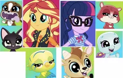 Size: 1643x1046 | Tagged: safe, derpibooru import, editor:superbobiann, sci-twi, sunset shimmer, twilight sparkle, bird, cat, dog, goat, hamster, parakeet, turtle, equestria girls, equestria girls series, animal, bev gilturtle, bowtie, clothes, edie von keet, female, geode of empathy, geode of telekinesis, glasses, hilarious in hindsight, jacket, jade catkin, leather jacket, littlest pet shop, littlest pet shop a world of our own, looking at you, magical geodes, male, quincy goatee, roxie mcterrier, trip hamston