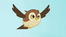 Size: 1280x720 | Tagged: animal, bird, derp, derpibooru import, flying, may the best pet win, owl, safe, screencap, solo, spread wings, wings