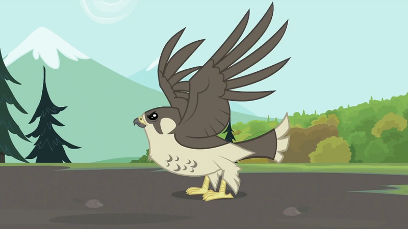 Size: 993x559 | Tagged: animal, bird, derpibooru import, falcon, may the best pet win, peregrine falcon, safe, screencap, solo, spread wings, wings