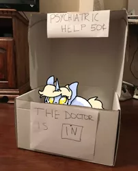 Size: 540x667 | Tagged: safe, artist:nootaz, derpibooru import, oc, oc:nootaz, unofficial characters only, pony, unicorn, box, cardboard box, charlie brown, chibi, cute, female, irl, looking up, lucy van pelt, mare, peeking, photo, ponies in real life, pony in a box, smol, solo