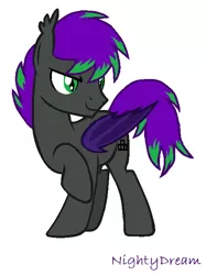 Size: 517x692 | Tagged: safe, artist:nightydream, derpibooru import, oc, oc:midnight player, bat pony, pony, male, simple background, solo, stallion, white background