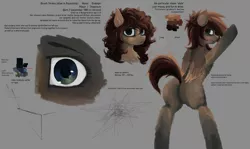 Size: 4572x2732 | Tagged: safe, artist:pacofreeman, derpibooru import, oc, oc:mara, unofficial characters only, pegasus, pony, alternate hairstyle, close-up, heterochromia, reference sheet, text