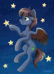 Size: 900x1216 | Tagged: safe, artist:scheadar, derpibooru import, oc, unofficial characters only, pegasus, pony, female, night, solo, stars, tangible heavenly object