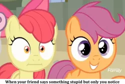 Size: 1024x688 | Tagged: apple bloom, cutie mark crusaders, derpibooru import, edit, edited screencap, :i, image macro, meme, safe, scootaloo, screencap, surf and/or turf, sweetie belle, text, when x and y