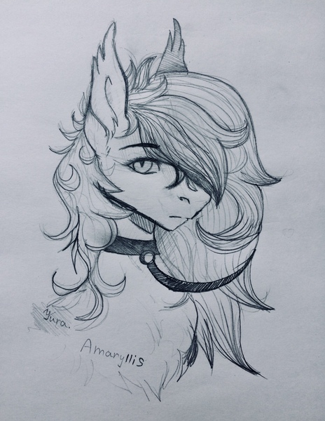 Size: 2445x3163 | Tagged: safe, artist:yura, derpibooru import, oc, oc:amaryllis, unofficial characters only, bat pony, pony, bat pony oc, collar, female, leash, mare, simple background, sketch, solo, traditional art