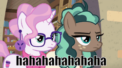 Size: 600x337 | Tagged: safe, derpibooru import, screencap, minty mocha, raspberry latte, earth pony, pony, unicorn, the parent map, animated, bathrobe, bookstore, clothes, discovery family logo, duo, ear piercing, earring, female, gif, glasses, gritted teeth, haha no, image macro, jewelry, lidded eyes, mare, meme, piercing, robe, scarf, sire's hollow