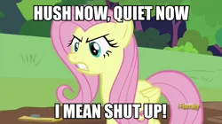 Size: 960x538 | Tagged: safe, derpibooru import, edit, edited screencap, screencap, fluttershy, pony, fluttershy leans in, angry, discovery family logo, hush now quiet now, image macro, meme, shut up, solo