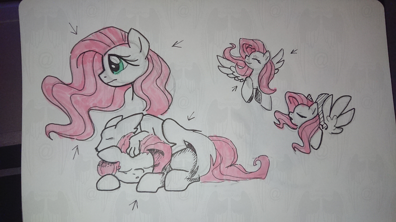 Size: 5504x3096 | Tagged: safe, artist:tuppkam1, derpibooru import, fluttershy, pony, wolf, prone, sketch, traditional art