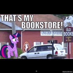 Size: 750x750 | Tagged: safe, artist:sonofaskywalker, derpibooru import, photographer:piousbrony, twilight sparkle, twilight sparkle (alicorn), alicorn, pony, unicorn, animated, book, bookhorse, cute, dodge caravan, irl, needs more jpeg, photo, ponies in real life, purple smart, that pony sure does love books, trotting, trotting in place, twilight fuel