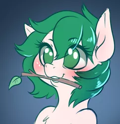 Size: 798x824 | Tagged: safe, artist:dankflank, derpibooru import, oc, oc:dankflank, unofficial characters only, earth pony, pony, bitches love sticks, blushing, bust, chest fluff, cute, earth pony oc, femboy, gradient background, lemme smash, male, mouth hold, stallion, stick, trap, weapons-grade cute