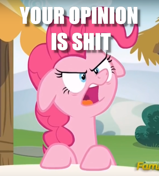 Size: 654x721 | Tagged: angry, cropped, derpibooru import, edit, edited screencap, every little thing she does, floppy ears, image macro, meme, opinion, pinkie pie, safe, screencap, solo, vulgar