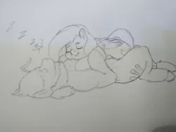 Size: 2592x1944 | Tagged: safe, artist:mr.smile, derpibooru import, fluttershy, oc, oc:boulder, earth pony, pony, bouldshy, canon x oc, female, lying on top of someone, male, mare, pencil drawing, shipping, sleeping, stallion, straight, traditional art, zzz