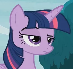 Size: 667x633 | Tagged: safe, derpibooru import, screencap, twilight sparkle, twilight sparkle (alicorn), alicorn, pony, non-compete clause, cropped, female, frown, mare, raised eyebrow, reaction image, solo, twilight is not amused, unamused