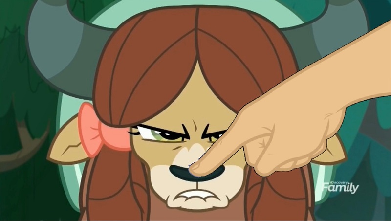 Size: 1233x696 | Tagged: boop, boop edit, derpibooru import, edit, edited screencap, finger, hand, non-compete clause, non-consensual booping, safe, screencap, yak, yona