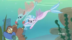 Size: 1280x719 | Tagged: cloven hooves, derpibooru import, discovery family logo, disguise, disguised changeling, female, helmet, non-compete clause, ocellus, safe, screencap, seaponified, seapony (g4), seapony ocellus, silverstream, species swap, swimming, trio, underwater, yak, yona