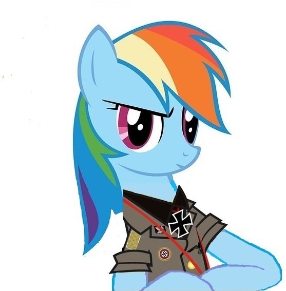 Size: 557x567 | Tagged: safe, artist:anonymous, deleted from derpibooru, derpibooru import, edit, rainbow dash, pony, clothes, epaulettes, female, german, iron cross, mare, medal, military, nazi, rolled up sleeves, soldier, solo, uniform, vector, wingless