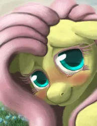 Size: 1391x1800 | Tagged: safe, alternate version, artist:noctomaeus, derpibooru import, fluttershy, pegasus, pony, blushing, bust, cropped, female, flower, looking at you, mare, portrait, solo