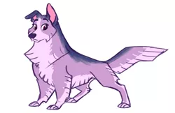 Size: 5100x3300 | Tagged: alternate universe, animal, artist:earthsong9405, derpibooru import, dog, dogified, female, fluffy au, pet, safe, simple background, solo, species swap, twilight barkle, twilight sparkle, white background