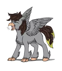 Size: 3543x4089 | Tagged: artist:alexispaint, classical hippogriff, derpibooru import, feather, head feathers, hippogriff, missing cutie mark, oc, oc:luxor, safe, screech, species swap, tail feathers