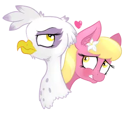 Size: 1756x1556 | Tagged: safe, artist:paskanaakka, derpibooru import, gilda, lily, lily valley, earth pony, gryphon, pony, blushing, bust, crack shipping, ear fluff, female, flower, flower in hair, grin, heart, lesbian, lilda, mare, nervous, nervous grin, nose wrinkle, portrait, shipping, simple background, smiling, transparent background, unamused