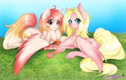 Size: 1024x652 | Tagged: safe, artist:bunnywhiskerz, derpibooru import, oc, oc:mio, oc:summer peach, unofficial characters only, pegasus, pony, female, mare