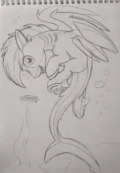 Size: 2212x3170 | Tagged: artist:airfly-pony, back, cute, derpibooru import, design, design a pony, fins, gills, lineart, long tail, looking at you, male, nostrils, oc, ocean, oc:shark bite, original species, rcf community, safe, shark, shark pony, shark tail, shark teeth, sharp ears, sharp teeth, short hair, short mane, smiling, solo, stallion, strange pose, swimming, teeth, underhoof, unofficial characters only, wings
