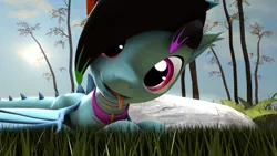 Size: 1280x720 | Tagged: safe, artist:rdashflare, derpibooru import, oc, oc:rdash, unofficial characters only, dracony, hybrid, 3d, collar, grass, looking at you, lying down, source filmmaker, tongue out