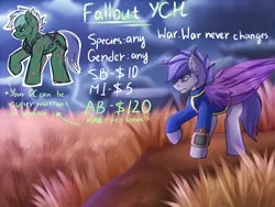 Size: 3000x2250 | Tagged: safe, artist:fkk, derpibooru import, oc, pony, auction, commission, fallout, male, solo, stallion, ych example, your character here