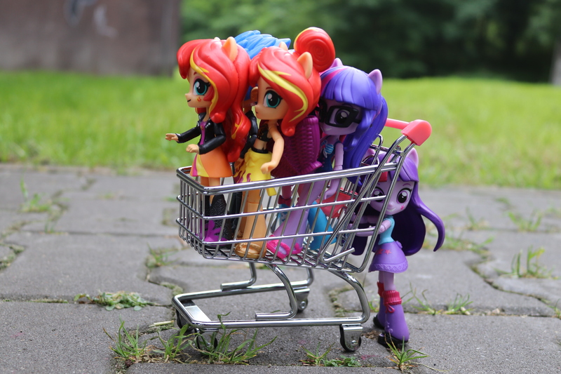 Size: 6000x4000 | Tagged: safe, artist:artofmagicpoland, derpibooru import, flash sentry, pinkie pie, sci-twi, sunset shimmer, twilight sparkle, twilight sparkle (alicorn), alicorn, equestria girls, doll, duality, equestria girls minis, eqventures of the minis, jackass, pushing, shopping cart, toy, twolight