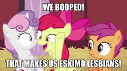 Size: 1080x604 | Tagged: safe, derpibooru import, edit, edited screencap, screencap, apple bloom, scootaloo, sweetie belle, earth pony, pegasus, pony, unicorn, the break up breakdown, boop, bowtie, cutie mark, cutie mark crusaders, female, filly, hay, image macro, lesbian, looking at each other, meme, noseboop, shipping, sweetiebloom, the cmc's cutie marks, trio, trio female