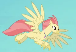 Size: 291x200 | Tagged: background hippogriff, classical hippogriff, cropped, derpibooru import, feathered fetlocks, flying, hippogriff, jewelry, male, necklace, safe, screencap, spread wings, surf and/or turf, unnamed character, wings