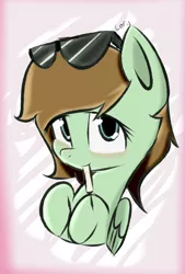 Size: 1524x2258 | Tagged: safe, artist:lofis, derpibooru import, oc, oc:mint chocolate, pegasus, pony, blushing, cute, eating, female, folded wings, food, looking at you, mare, nom, popsicle, shading, signature, sunglasses