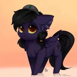 Size: 5000x5000 | Tagged: safe, artist:alphadesu, derpibooru import, oc, oc:mir, unofficial characters only, pegasus, pony, fallout equestria, absurd resolution, beret, chibi, commission, cute, dashite, ear fluff, female, fluffy, hair tie, hat, hnnng, mare, smiling, solo, ych result