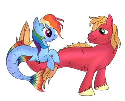 Size: 704x570 | Tagged: safe, artist:karmadash, derpibooru import, big macintosh, rainbow dash, merpony, pony, alternate design, digital art, duo, female, looking at each other, male, mare, rainbowmac, shipping, simple background, stallion, straight, transparent background