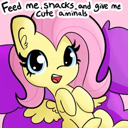 Size: 1650x1650 | Tagged: safe, artist:tjpones, derpibooru import, fluttershy, pegasus, pony, aminals, bronybait, cute, dialogue, female, looking at you, on back, open mouth, shyabetes, solo, tjpones is trying to murder us, weapons-grade cute