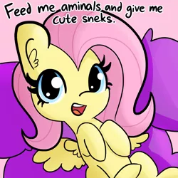Size: 1650x1650 | Tagged: safe, artist:tjpones, derpibooru import, edit, editor:dsp2003, fluttershy, pegasus, pony, aminals, baby, baby pony, bronybait, cute, dialogue, huge head, looking at you, on back, open mouth, shyabetes, solo, wat