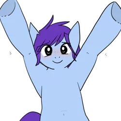 Size: 512x512 | Tagged: armpits, artist:beffumsartworks, begging, belly button, blue coat, blushing, colored, cute, derpibooru import, emoticon, male, oc, oc:deli, puppy dog eyes, purple mane, safe, simple background, smiling, solo, stallion, standing, transparent background, underhoof, unofficial characters only, upsies