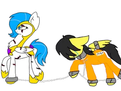 Size: 1024x768 | Tagged: safe, artist:gina, artist:thunder burst, derpibooru import, oc, oc:gina, oc:thunder burst, unofficial characters only, pegasus, pony, bound wings, chained, clothes, collaboration, collar, crying, prison, prison guard position, prison outfit, prisoner, royal guard, shackles, simple background, transparent background