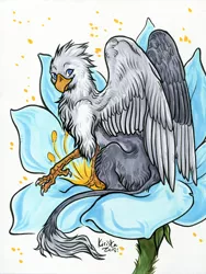 Size: 1234x1641 | Tagged: safe, artist:kiriska, derpibooru import, oc, oc:der, unofficial characters only, gryphon, flower, micro, solo, traditional art